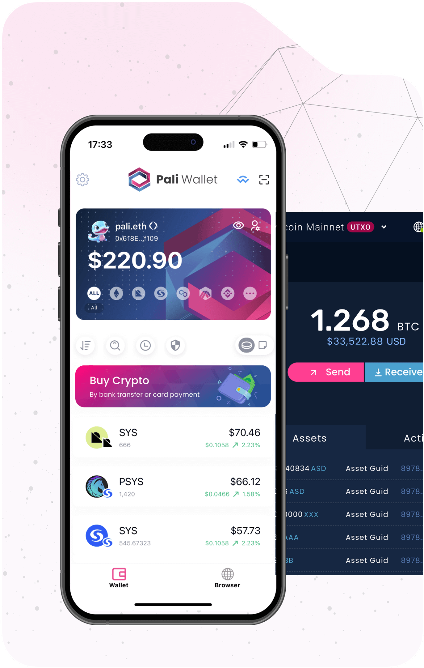 Pali Wallet preview